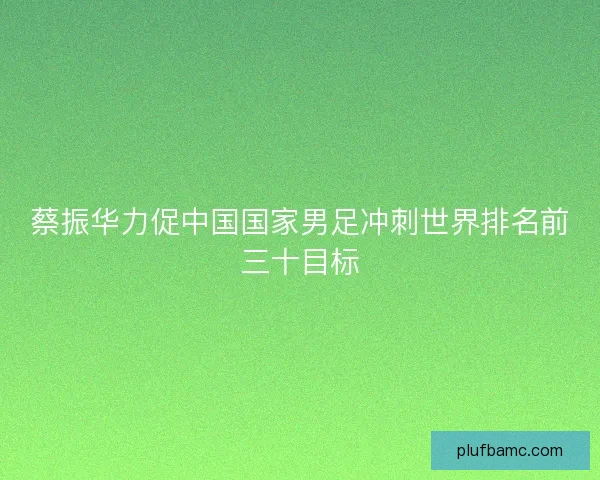 蔡振华力促中国国家男足冲刺世界排名前三十目标