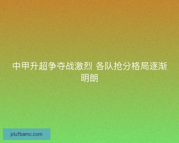 中甲升超争夺战激烈 各队抢分格局逐渐明朗 中甲升超争夺战激烈 各队抢分格局逐渐明朗