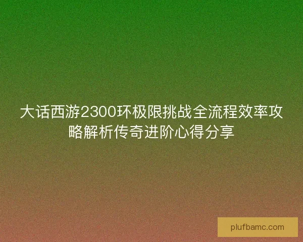 大话西游2300环极限挑战全流程效率攻略解析传奇进阶心得分享